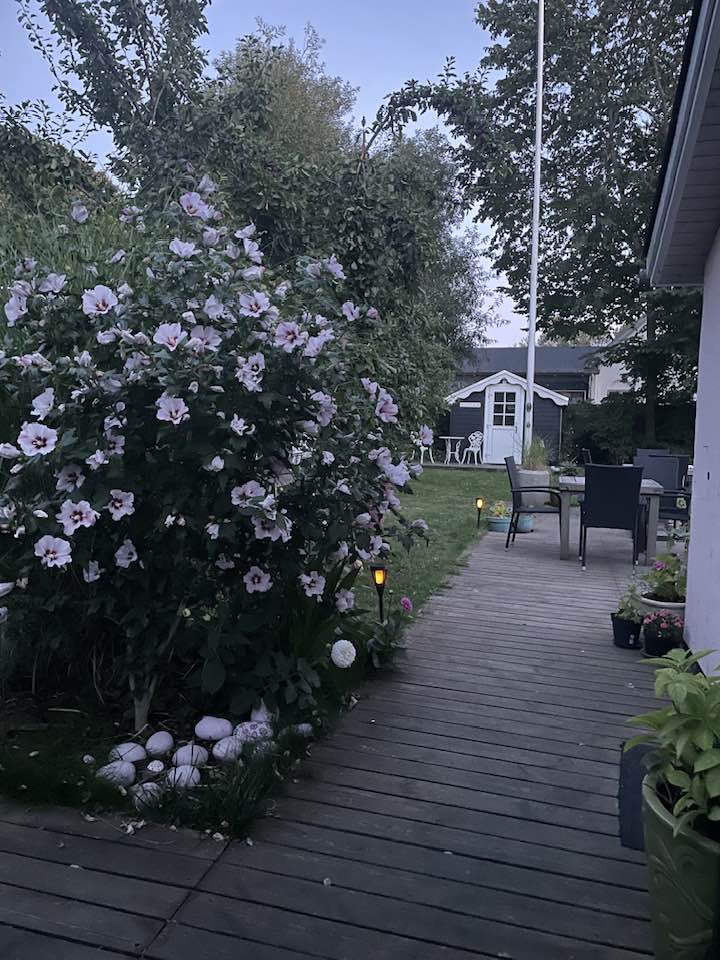 Stemningsbillede fra Tanternes Hus