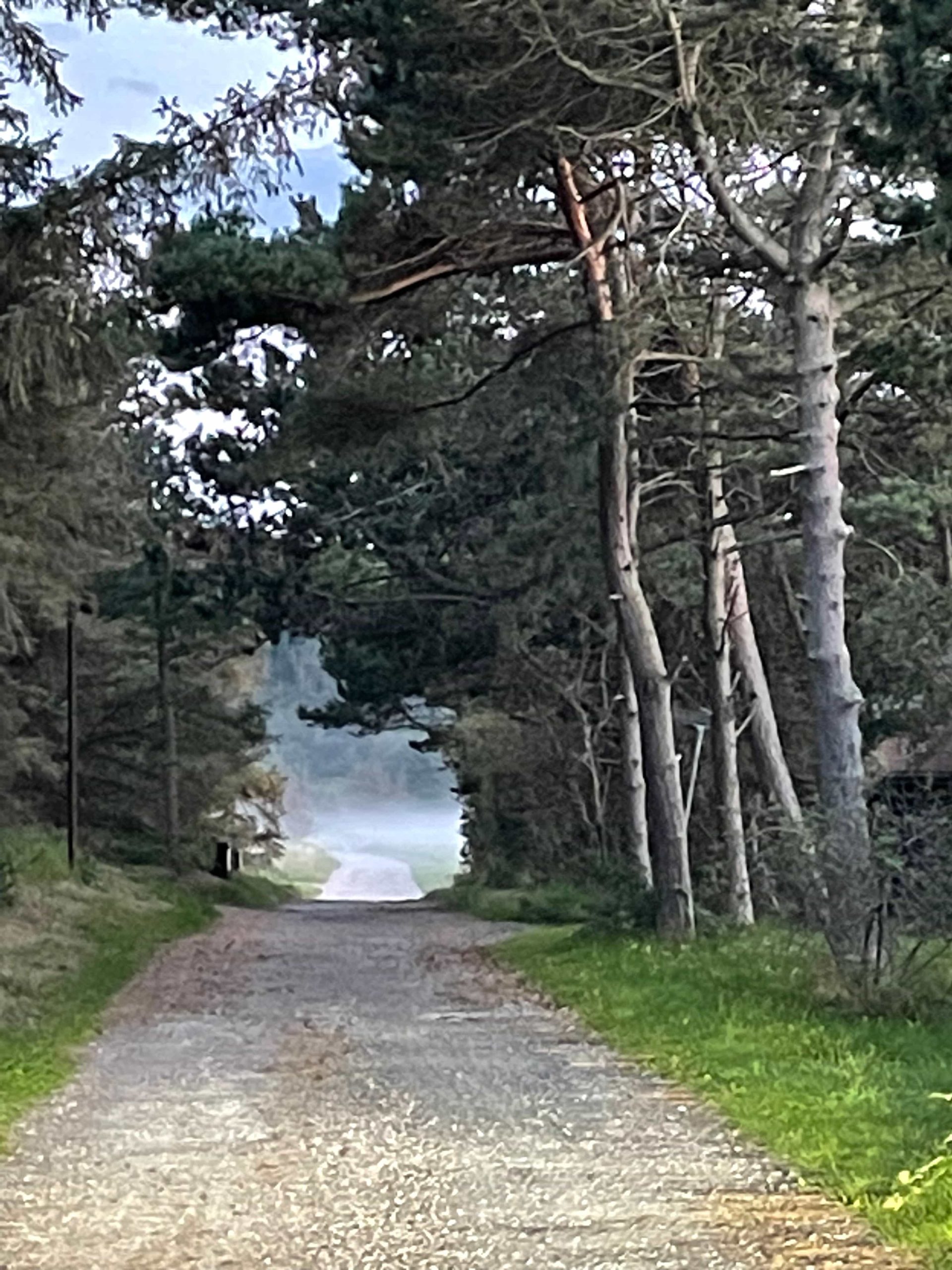 Stemningsbillede fra Tanternes Hus