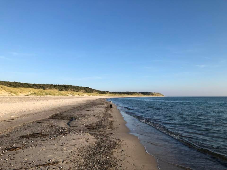 Stemningsbillede fra Tanternes Hus