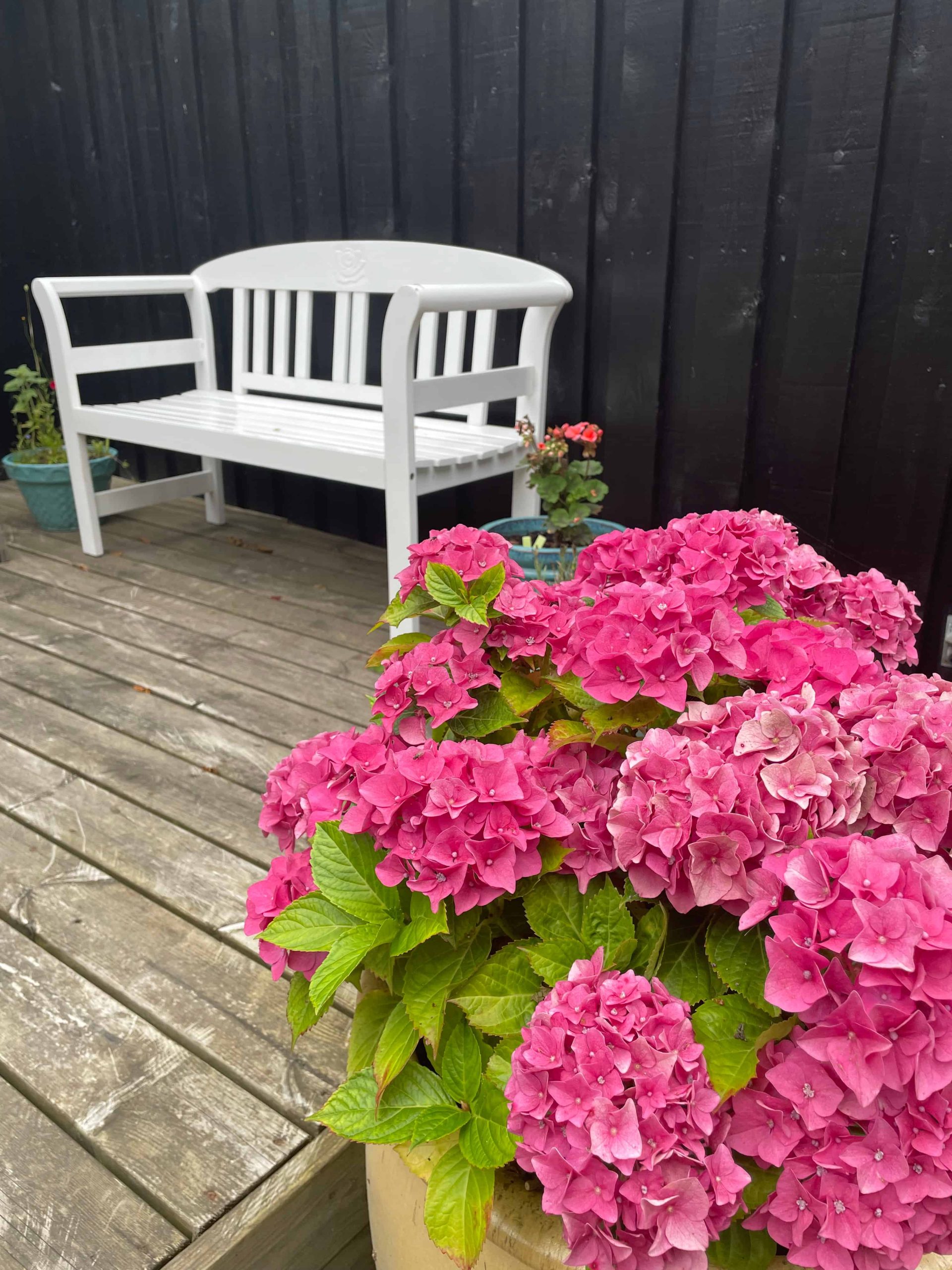Stemningsbillede fra Tanternes Hus