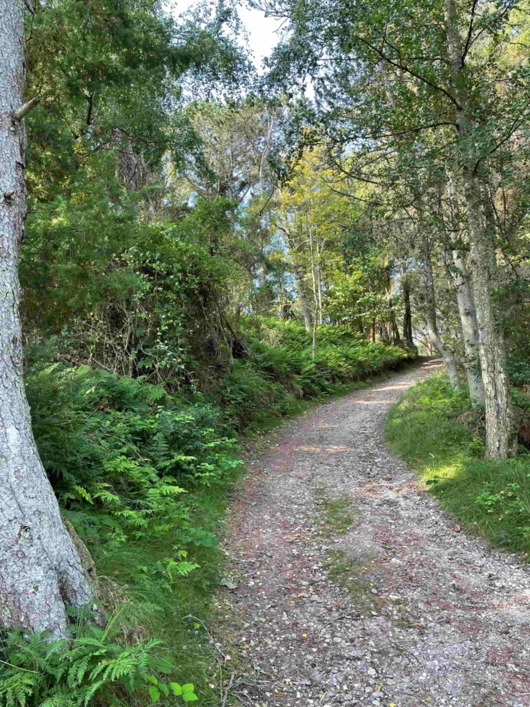 Stemningsbillede fra Tanternes Hus