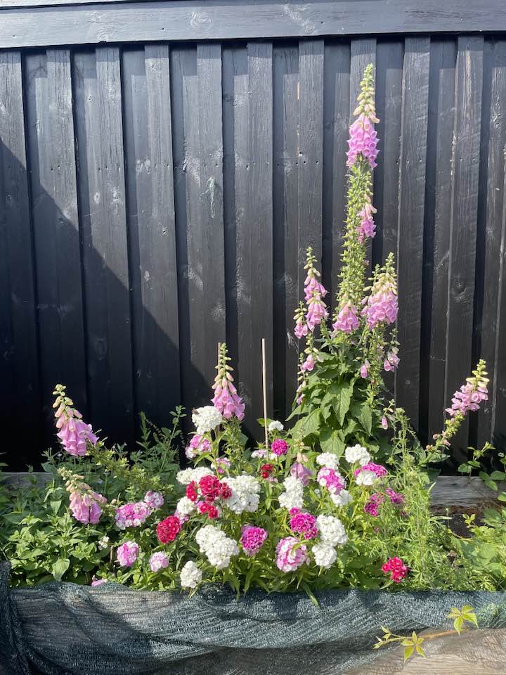 Stemningsbillede fra Tanternes Hus