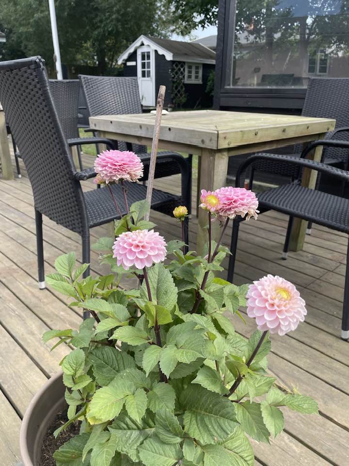 Stemningsbillede fra Tanternes Hus